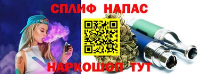 дмт Аргун