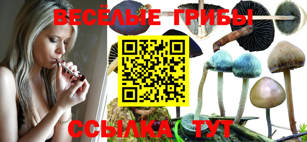 Псилоцибиновые грибы GOLDEN TEACHER  Артём 