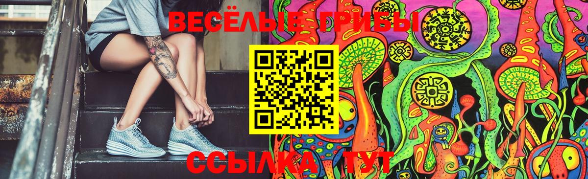 Псилоцибиновые грибы Cubensis  наркота  Артём  Вход с VPN 