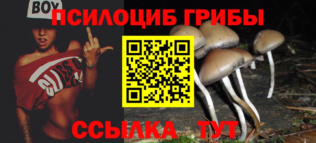 Псилоцибиновые грибы мухоморы Артём